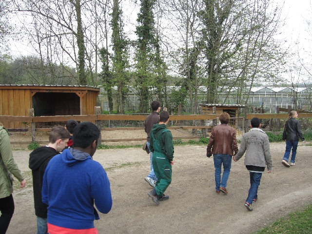 2013-04-25 Schultenhof O1 24