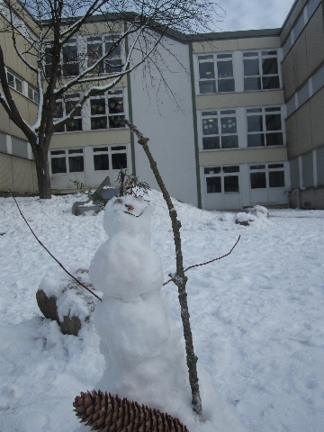 Weihnachts-Wintergruesse 07