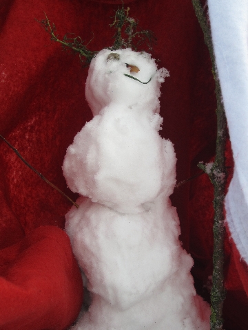 Weihnachts-Wintergruesse 09