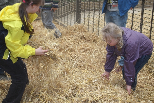 2013-04-17 Zooprojekt U2 04