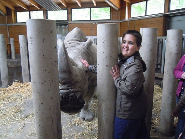 2013-04-17 Zooprojekt U2 07