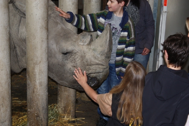 2013-04-17 Zooprojekt U2 08