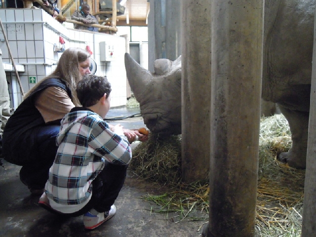 2013-04-17 Zooprojekt U2 09