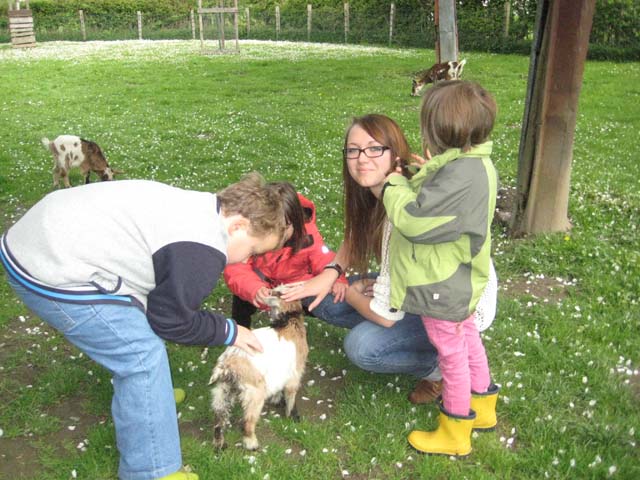 08a Tiere