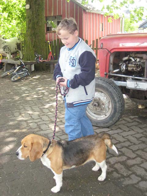 10-Tiere
