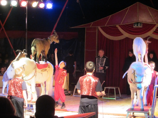 Zirkus34 3