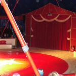 2013-03-01_Zirkusbesuch