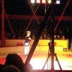 2013-03-01_Zirkusbesuch