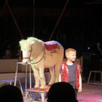 2013-03-01_Zirkusbesuch