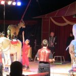2013-03-01_Zirkusbesuch