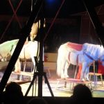 2013-03-01_Zirkusbesuch