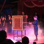 2013-03-01_Zirkusbesuch
