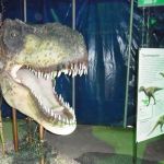 2013-05-22_Dino-Ausstellung