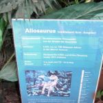 2013-05-22_Dino-Ausstellung