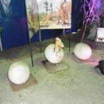 2013-05-22_Dino-Ausstellung