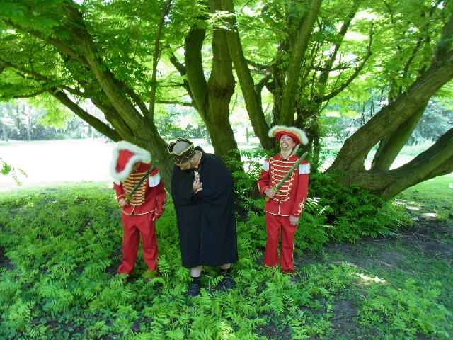 Bild 11