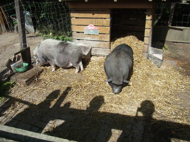 2013-09-17 wandertag 042