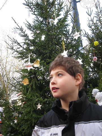 2013-12-06 baumschmcken 005