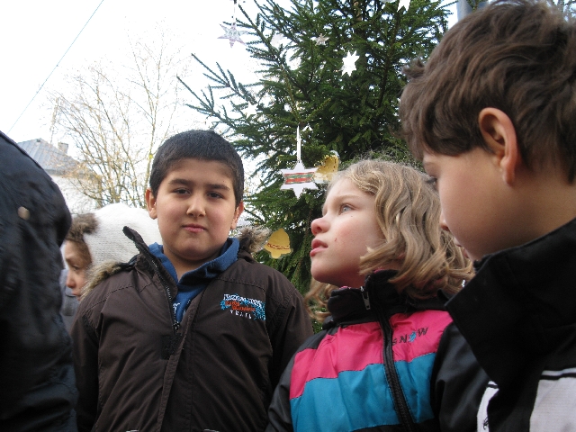 2013-12-06 baumschmcken 006