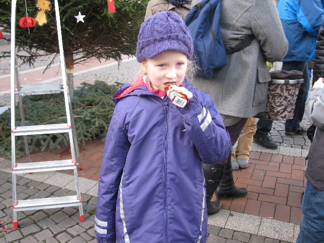 2013-12-06 baumschmcken 018