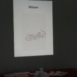 2014-06-27_Projektwoche Mira Lobe