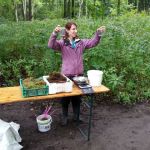 2015-09-08_Waldjugendspiele