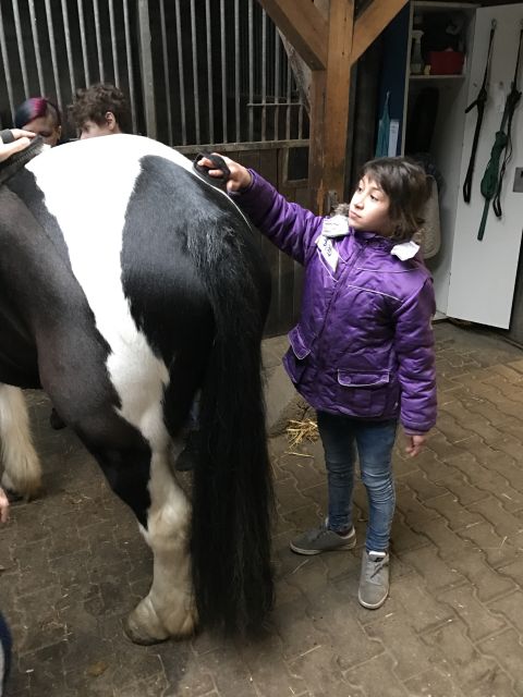 2016-17 Heilpaedagogisches-Reiten 002
