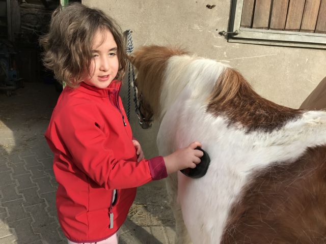 2016-17 Heilpaedagogisches-Reiten 005
