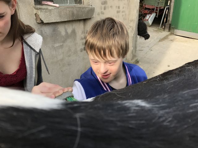 2016-17 Heilpaedagogisches-Reiten 007