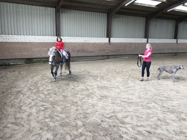 2016-17 Heilpaedagogisches-Reiten 012