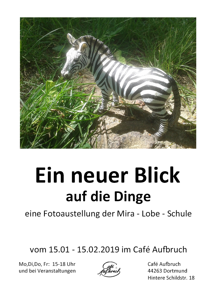 2019-01-15 Fotoausstellung Plakat