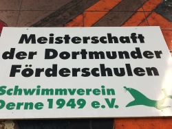 Stadtmeisterschaften Schwimmen