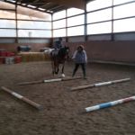 2020-02_Reiten_011