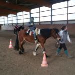 2020-02_Reiten_015