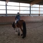 2020-02_Reiten_019