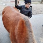 2020-02_Reiten_023