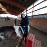 2020-02_Reiten_036