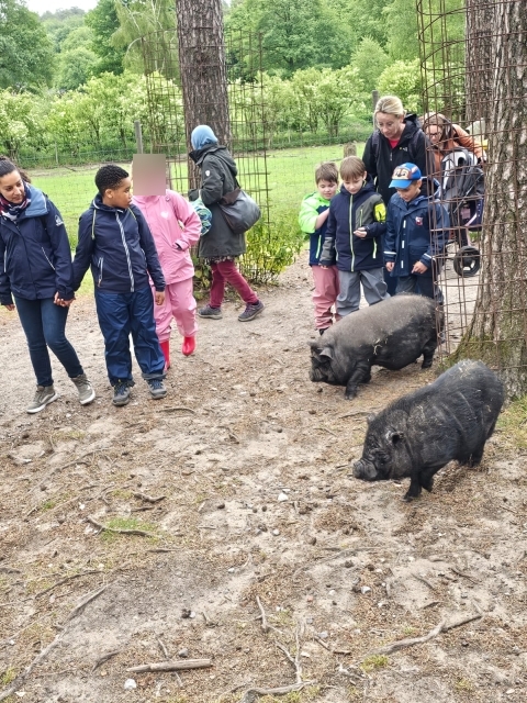 2025 05 27 Primarstufenausflug Hamm 040