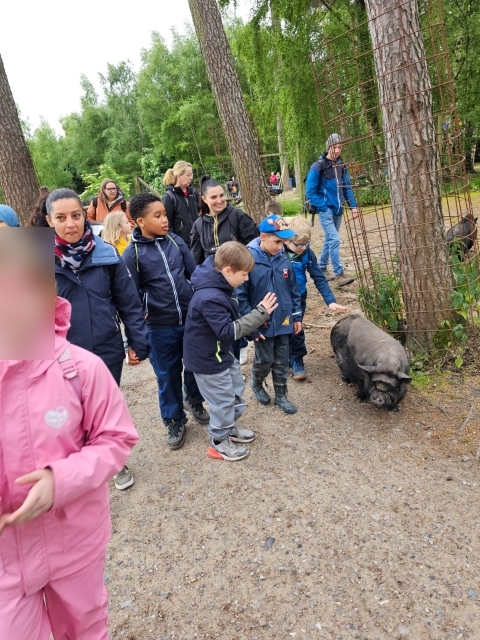 2025 05 27 Primarstufenausflug Hamm 043