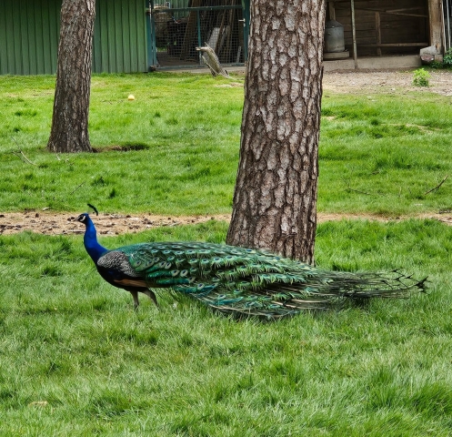 2025 05 27 Primarstufenausflug Hamm 045