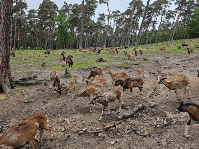 2025 05 27 Primarstufenausflug Hamm 046