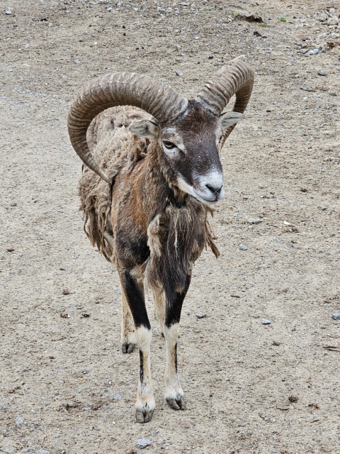 2025 05 27 Primarstufenausflug Hamm 048