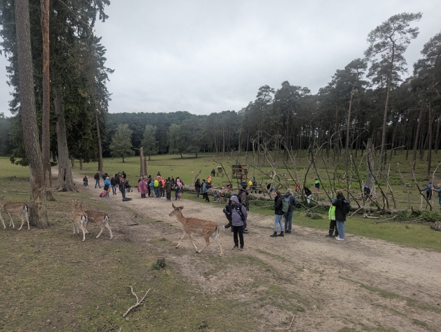 2025 05 27 Primarstufenausflug Hamm 077