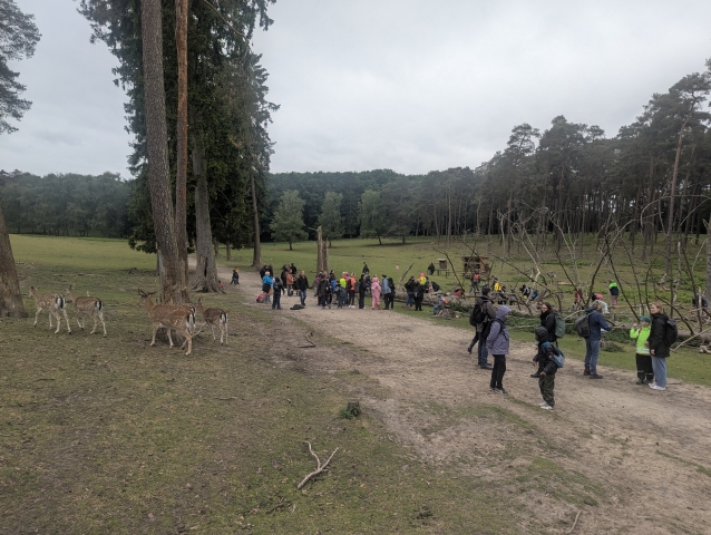 2025 05 27 Primarstufenausflug Hamm 078